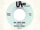 Exploding Parakeet 45 - Rare Private South Dakota Rural Folk Psych - HEAR