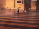 Syd Barrett - madcap laughs Original LP