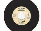 RARE SURF INSTRUMENTAL ROCKER- VIBRANTS- 