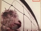 PEARL JAM VS LP VINYL