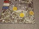 THE STONE ROSES. DEBUT RECORD. STONE ROSES. STONE ROSES VINYL. 1989.