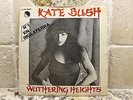 Kate Bush Wuthering Heights 7