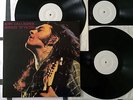 3LP-Set - RORY GALLAGHER - Honest 'N' Gutsy / Aus Archiv / 32 Tracks / M(-)