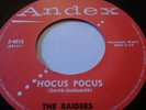 THE RAIDERS  HOCUS POCUS / YOO HOO on ANDEX