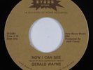 Modern Soul 45 GERALD WAYNE Now I Can See STARR HEAR