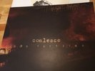 Coalesce Boy Sets Fire split 7