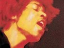 The Jimi Hendrix Experience-Electric Ladyland Vinyl / 12