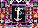 The Decemberists-What a Terrible World, What a Beautiful Vinyl / 12