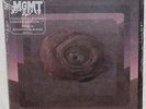 MGMT Congratulations 7