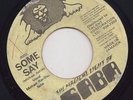 THE MAGICAL LIGHT OF SABA 45 MICHAEL RAS-STAR SOME SAY/SOME ROCK?
