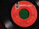 THE PAINTED SHIP Frustration / I Told Those Little White Lies RARE GARAGE 45