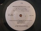 THE DICTATORS rare America The Beautiful Jabberwalk punk KBD orig 7” 45