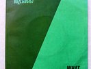 Buzzcocks What Do I Get? 7-inch DEMO single in pic sleeve