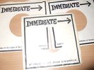 3 IMMEDIATE  RECORD SLEEVES