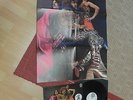 TIGER B. SMITH TIGER ROCK 1972 w/ POSTER KRAUT. SWIRLI MINT