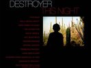 Destroyer - This Night Vinyl LP (2) Merge NEW