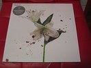 THE CULT - HIDDEN CITY 180gm 2LP MINT/BRAND NEW/SEALED