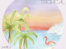 JAMES MCMORROW VINCENT-POST TROPICAL (INCL.MP3-CODE)-VINYL LP BELIEVE NEW