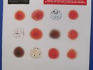 PETER GABRIEL, Scratch My Back And I'll Scratch Yours, Vinyl Double LP 2013, NEU