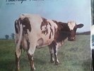 Pink Floyd Atom Heart Mother SEALED  LP W/ NO BARCODE