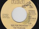 70s Soul 45 - Trumains - Ripe For The Pickin' - RCA - mp3 - promo