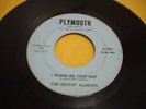 THE ROCKIN RAMRODS 45 rpm I want to be your man PLYMOUTH label /boston garage VG