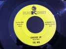 Rare Texas Garage THE WIG Cracking' Up / Bluescene BLACKNIGHT 903 VG++/NM-