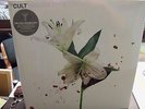 Hidden City - by The Cult (Vinyl-2016- 2 LPs) New & Sealed. Fast Shipping