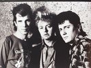 STRAY CATS**TORONTO STRUT: CANADIAN BROADCAST (GATEFOLD/180 GRAM)**2 VINYL SET