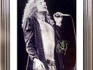 ULTRA COOL - LED ZEPPELIN - ROBERT PLANT - ORIGINAL HAND SIGNED AUTOGRAPH