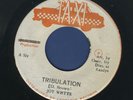 1587 JOY WHYTE-TRIBULATION-TAXI- REGGAE 45 7