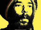 CONGO NATTY Jungle Revolution In Dub LP NEW VINYL Big Dada Dj Madd Adrian Sherw