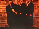 Skinflicks - Lies Damned Skinhead LP Oi Punk 4Skins Cock Sparrer Evil Conduct