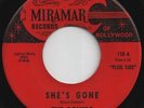 DOVERS-45-She’s Gone-Killer & HOLY GRAIL 1966 CALIFORNIA Garage-Punk