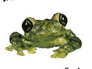 SILVERCHAIR - FROGSTOMP (20TH) (ANNIVERSARY) (BONUS) (TRACK) NEW VINYL