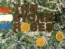 The Stone Roses Vinyl / 12