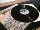 Genesis - 