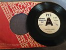 THE CHEVLONS rare UK 1966 DEMO PROMO / MOD / PSYCH / PRE-CARTOONE / KINKS / EX++