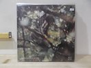 CLAUDIO ROCCHI ? Essenza LP EX/EX+  ITA
