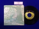 BEATLES JOHN LENNON MOTHER APPLE GENUINE PICTURE SLEEVE BLACK STAR NICE