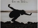 Eddie Vedder Into the Wild [Original Soundtrack] Vinyl LP New