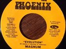 MAGNUM Evolution / Your Mind 45 RARE Funk, The Phoenix EX