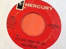 THE RIDDLES - ITS ONE THING TO SAY - US MERCURY 7