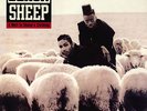 BLACK SHEEP A WOLF IN SHEEP'S CLOTHING NEW 2 X VINYL REISSUED RECORD GET ON DOWN