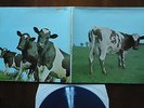 PINK FLOYD - ATOM HEART MOTHER - BLUE COLOR LP - FRANCE -