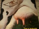 AEROSMITH - GET A GRIP. LP Vinilo