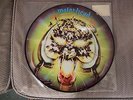 RARE MOTORHEAD OVERKILL PICTURE DISC - LEMMY HAWKWIND NEAR-MINT