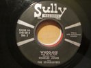 Rare Rockabilly 45 CHARLES JONES AND THE STARDUSTERS whoo-oee SULLY