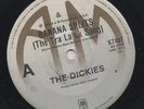 THE DICKIES  Rare 1979 Aust Only 7