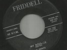ROCKABILLY bw/ INSTRO - ORBITS - MY ROSA LEE  -HEAR BOTH- 1958 Tn. FRIDDELL